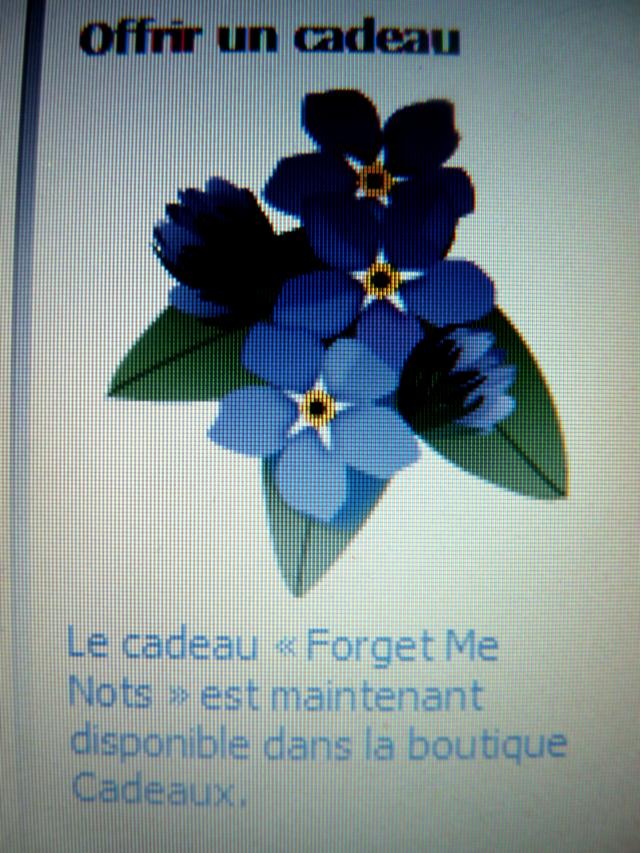 http://forget-me-nots.cowblog.fr/images/P11109421.jpg